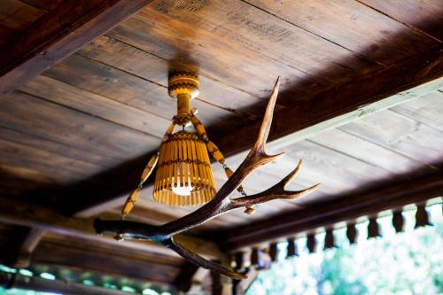 a chandelier with a antler hanging from a ceiling at Cabana Adrienne in Izvoru Mureşului