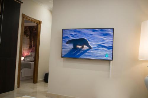 un televisor en una pared con un oso polar. en Apartamento Ciudad del Tajo, en Ronda