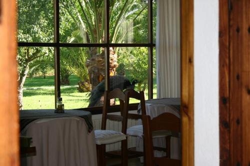 a woman is looking out of a window at a table at Petit Hotel Es Figueral in Campos