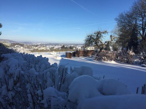 a garden covered in snow with a road at Le Veenbahn in Deidenberg