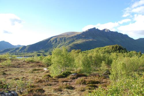 Un paisaje natural cerca del lodge