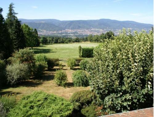 a garden with bushes and trees in a field at Chambres d'Hôtes Baudelys in Pont-de-Larn