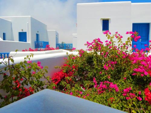 a bunch of pink flowers in front of white buildings at Aegeo Hotel in Chora Folegandros