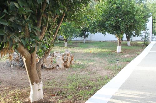 a group of trees in a park next to a sidewalk at Elias Maro House in Avdou