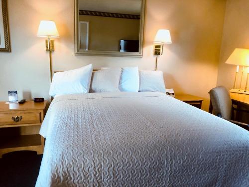 Habitación de hotel con cama grande y espejo en A Western Rose en Cody