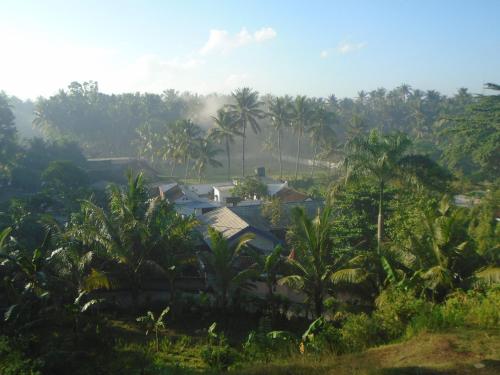 a group of houses in a forest with palm trees at La Casa Homestay in Senggigi 