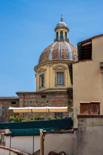 Piccolo Iris Firenze