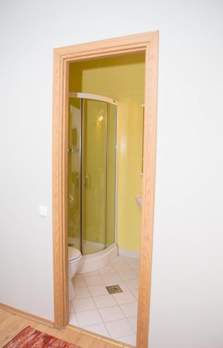 a bathroom with a shower and a toilet at Vila Raluca in Eforie Nord