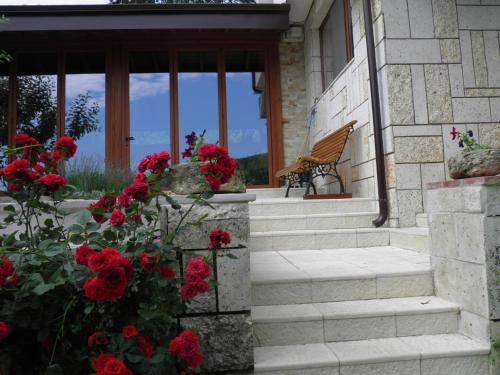 Zahrada ubytování villa MAK