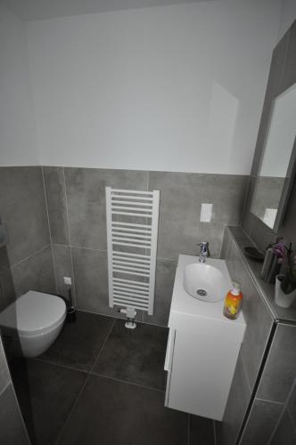 a bathroom with a white sink and a toilet at Ferienhaus Seerose in Hohenfelden