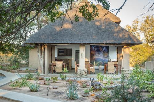 Bushbaby River Lodge – Photos 2