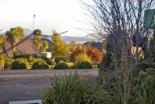 a view of a street with trees and bushes at Majuba Guest Lodge in Volksrust