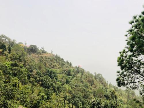 a hillside with trees on the side of it at Aqua De Vida in Bhowāli
