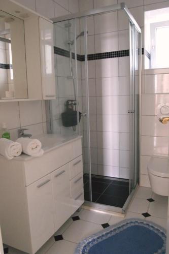 a bathroom with a shower with a sink and a toilet at Open Hus in Krvavica