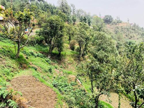 a view of a hill with trees on it at Aqua De Vida in Bhowāli