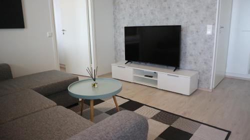 a living room with a couch and a television at Pro Apartments 1 in Vaasa