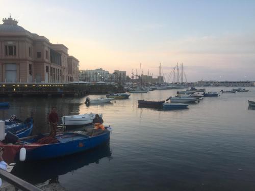 a group of boats are docked in a harbor at Guesthouse City Center in Bari