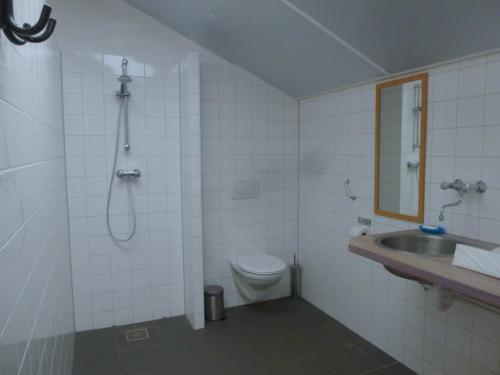 een badkamer met een douche, een toilet en een wastafel bij De Stadsgaten in Rouveen