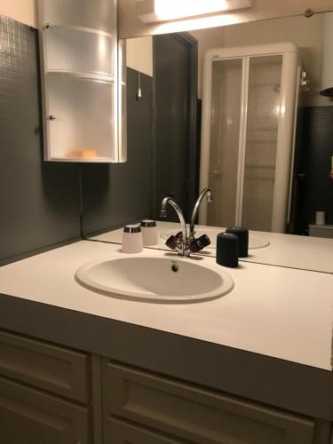 un comptoir de salle de bain avec un lavabo et un miroir dans l'établissement Au pied du telecabine, T2 parking et casier a ski, à Cauterets