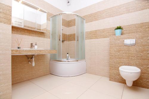 a bathroom with a toilet and a sink at Blue River - Walonska 7 - Apartment with garden in Wrocław