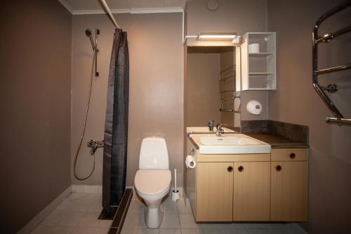 a small bathroom with a toilet and a sink at Strand Fjordmotel in Ulvik