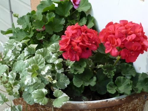 Foto dalla galleria di Bernerhof a Pottenstein