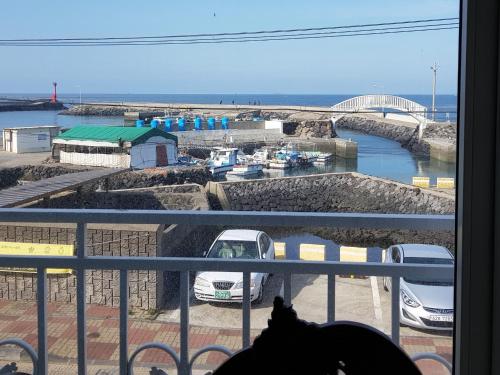 a dog looking out of a window at a marina at HANI Haus in Jeju