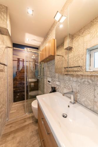 a bathroom with a sink and a toilet and a shower at HöriLux XS in Gaienhofen