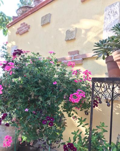 Κήπος έξω από το I Lecci Guesthouse