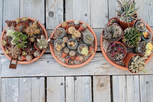 a bunch of potted plants on a wooden table at Resort Fontes Episcopi in Aragona