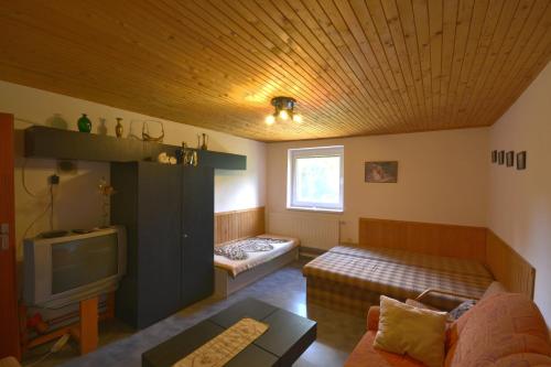 ein Wohnzimmer mit einem Sofa und einem TV in der Unterkunft Chalupa Slota in Gôtovany
