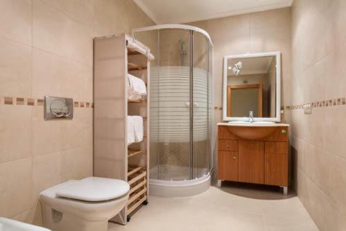 a bathroom with a shower and a toilet and a sink at Casa Teresa in Vilamoura