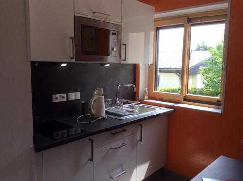 une cuisine avec un évier et une fenêtre dans l'établissement Charmant 2 piece sur les hauteurs, à Chambéry