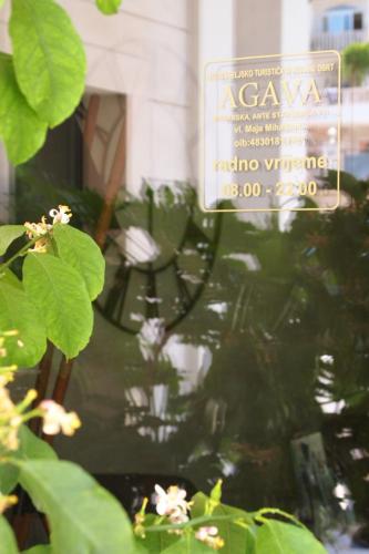 Φωτογραφία από το άλμπουμ του Apartments Agava σε Makarska