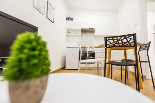 Kuchyň nebo kuchyňský kout v ubytování Apartmani Kristijan
