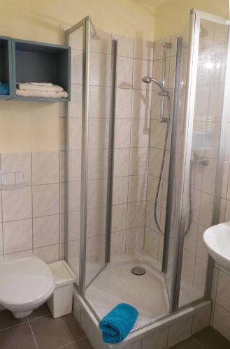 a bathroom with a shower with a toilet and a sink at Pension im Adventhaus in Lutherstadt Wittenberg