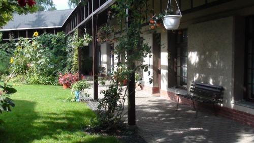 a bench sitting outside of a building with a tree at Pension im Adventhaus in Lutherstadt Wittenberg
