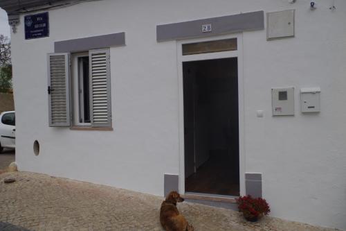 ファロにあるCasinha 28の白い建物の前に座る犬