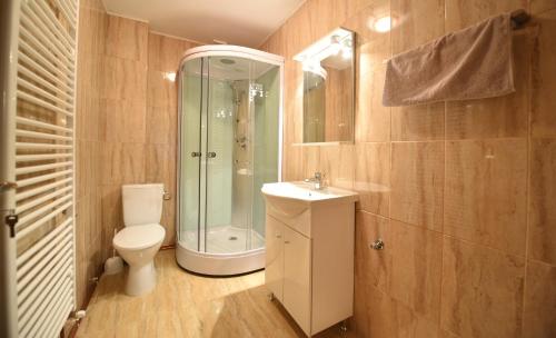 a bathroom with a shower and a toilet and a sink at Cabana Oana Retezat in Râu de Mori