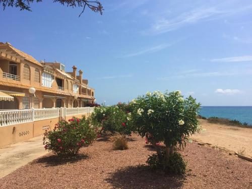 a row of trees with flowers in front of a building at Seafront Dream Apartment in Torrevieja