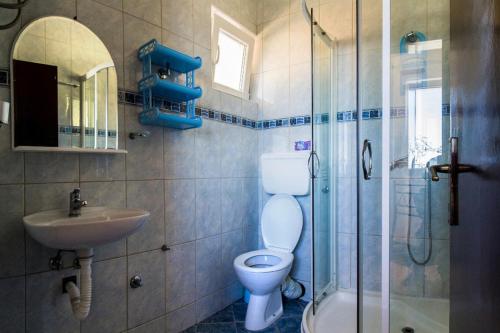 a bathroom with a toilet and a sink and a shower at Villa Palma Ceoce in Budva