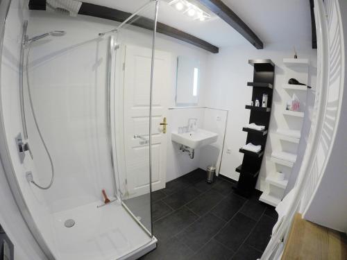 ein Bad mit einer Dusche und einem Waschbecken in der Unterkunft Schmuckstück in Bremen