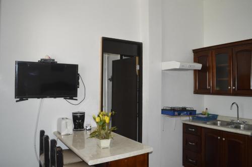 Kuchyň nebo kuchyňský kout v ubytování Loft Maria