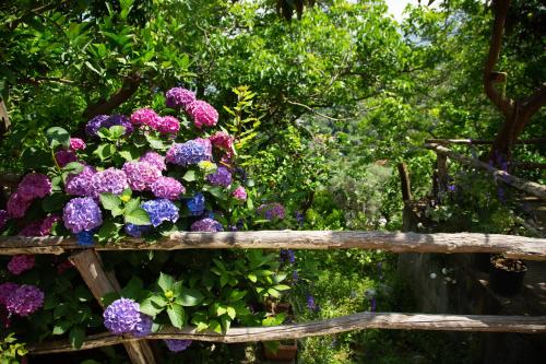 Giardino di B&b L' Arancio in fiore