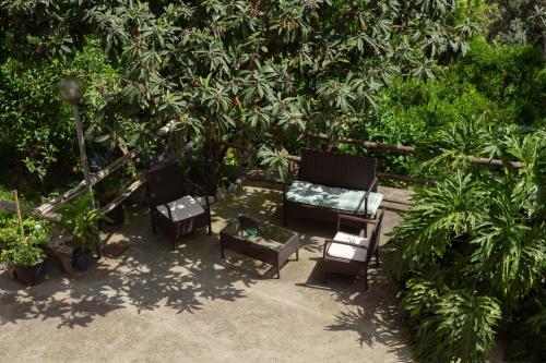 Giardino di B&b L' Arancio in fiore