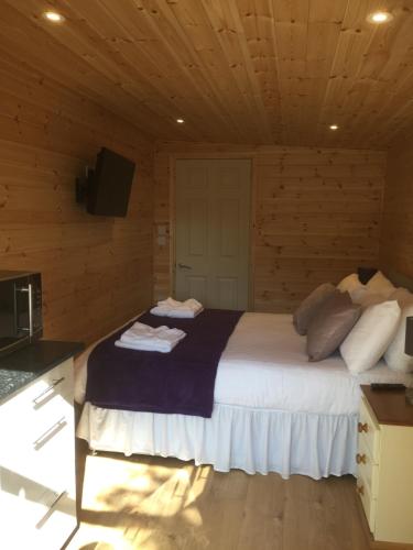 a bedroom with a bed in a wooden cabin at Romantic Getaway Luxury Wooden Cabin With Private Hot Tub and BBQ in Aberystwyth