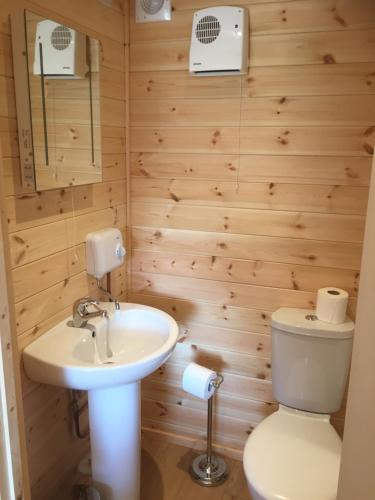 een badkamer met een toilet en een wastafel bij Romantic Getaway Luxury Wooden Cabin With Private Hot Tub and BBQ in Aberystwyth