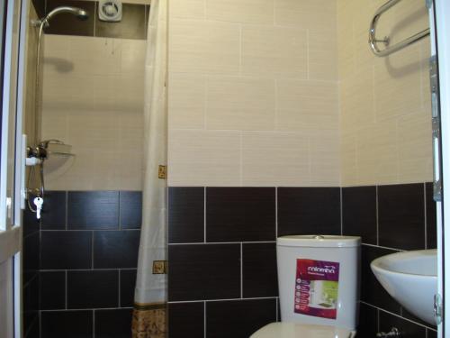 a bathroom with a toilet and a sink and a shower at Садиба Тушер in Rakhiv