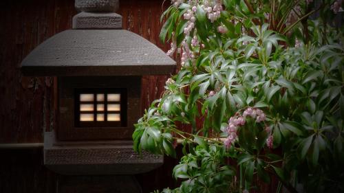 a bird house sitting next to a bush with flowers at Machiya Kaemon in Kyoto