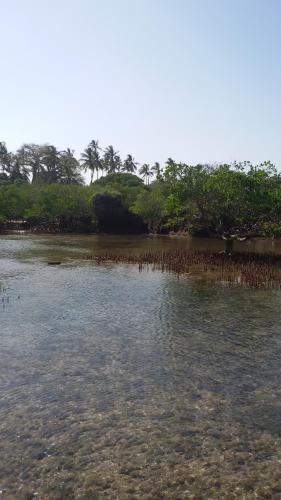 a large body of water with trees and bushes at Bahari Pori Resort in Pangani